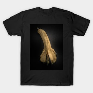 Gourds No 4 Color Version T-Shirt